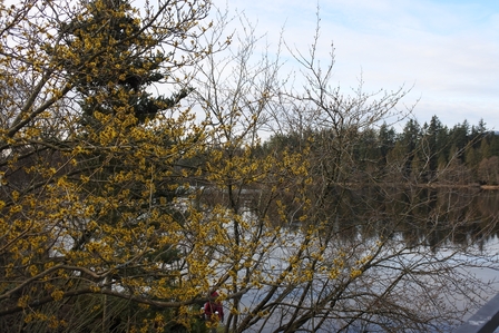 �o���N�[�o�[�S�X