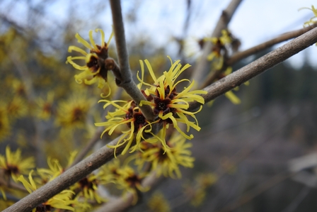 �o���N�[�o�[�T�O