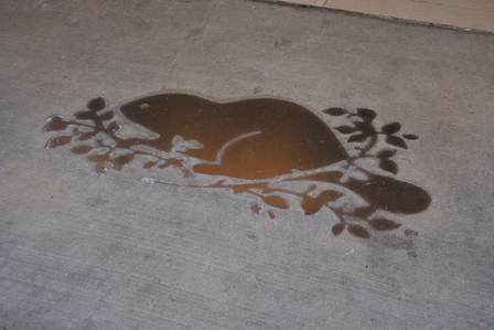 �o���N�[�o�[�T�S