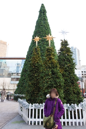 �o���N�[�o�[�T�T