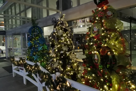 �o���N�[�o�[�U�W