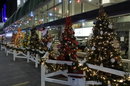 �o���N�[�o�[�U�X