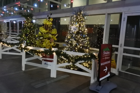 �o���N�[�o�[�V�O