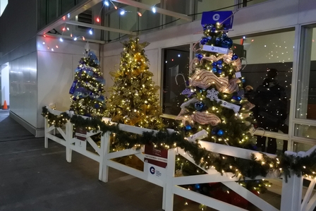 �o���N�[�o�[�V�P